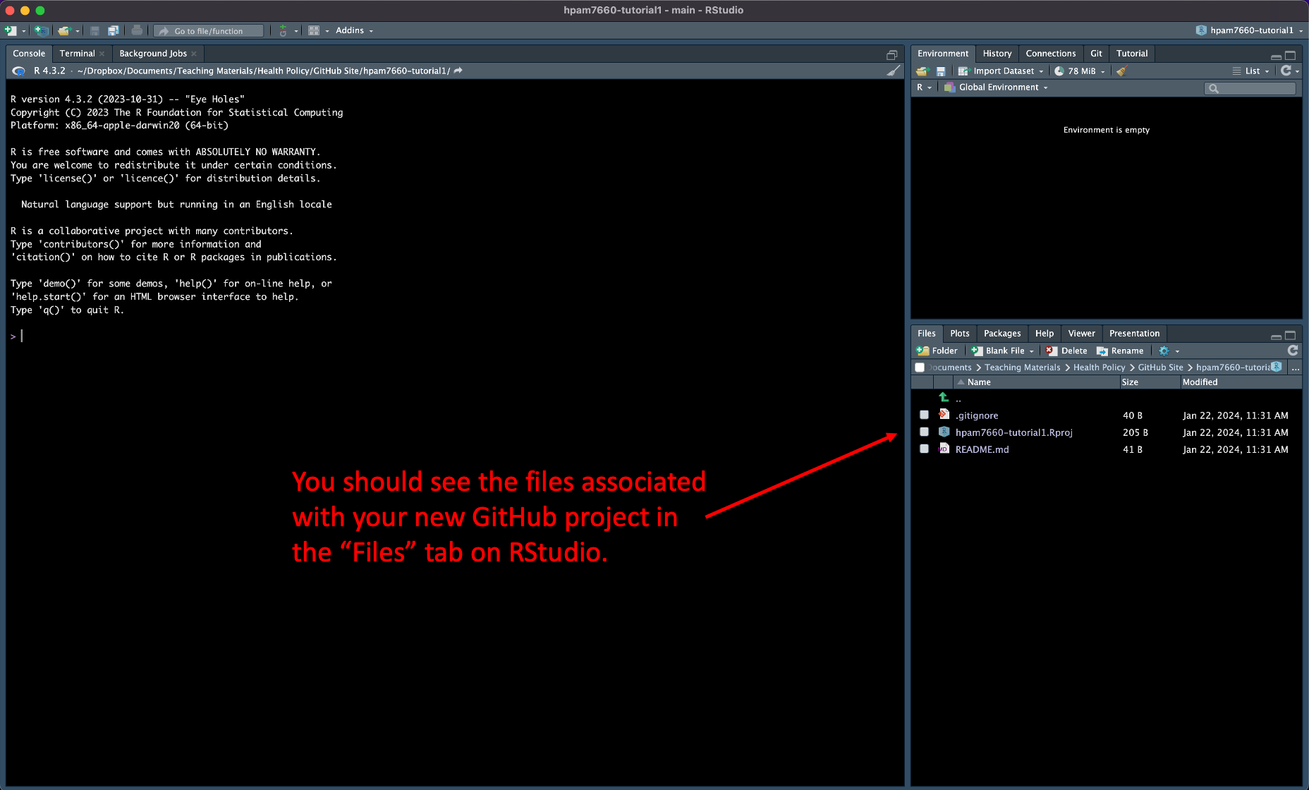 Files in RStudio